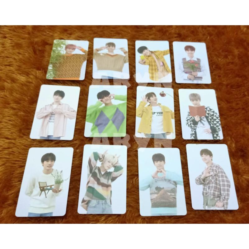AR PHOTOCARD TREASURE || HARUTO JAEHYUK YOSHI MASHIHO JEONGWOO