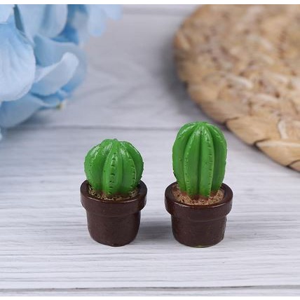 Miniatures - Terrariums - Fairy Garden - Cactus (1pc)