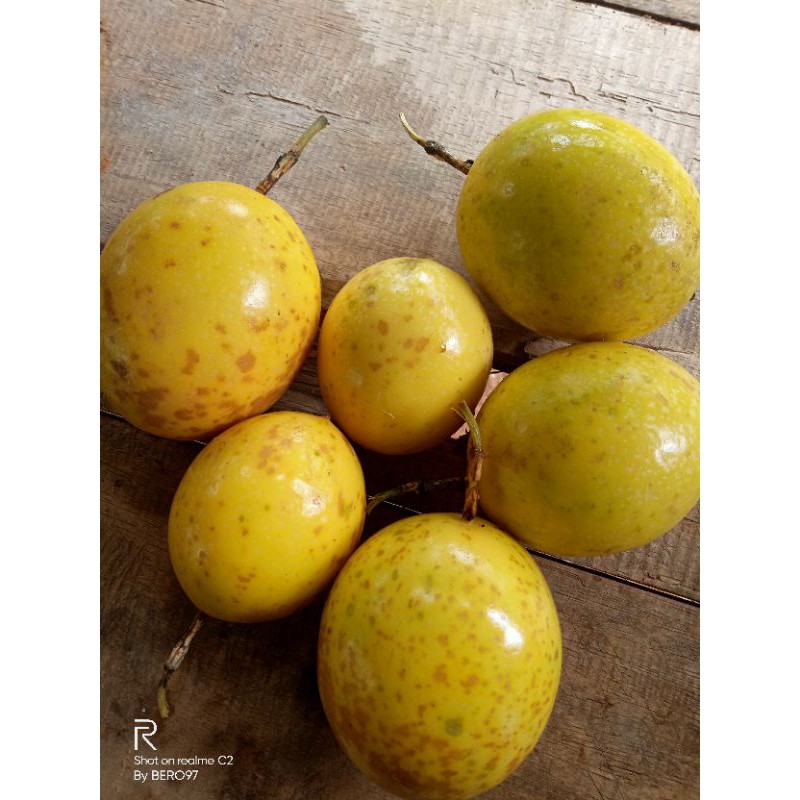 

TERMURAH BUAH MARKISA SEGAR 1kg