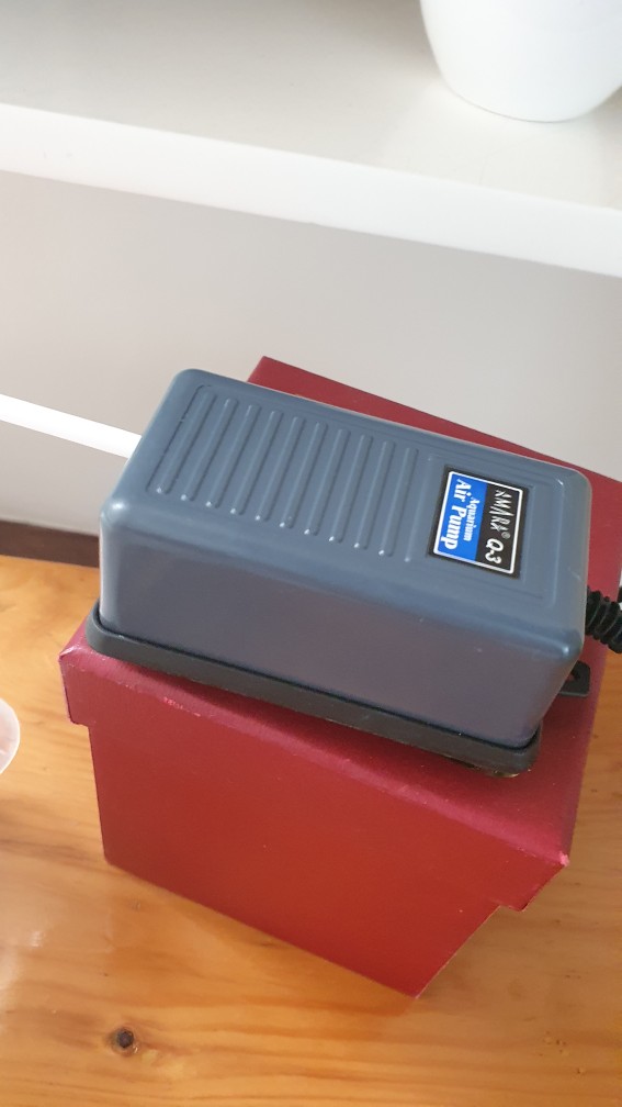 Pompa Udara Aerator Air Pump Amara Q3 1lubang