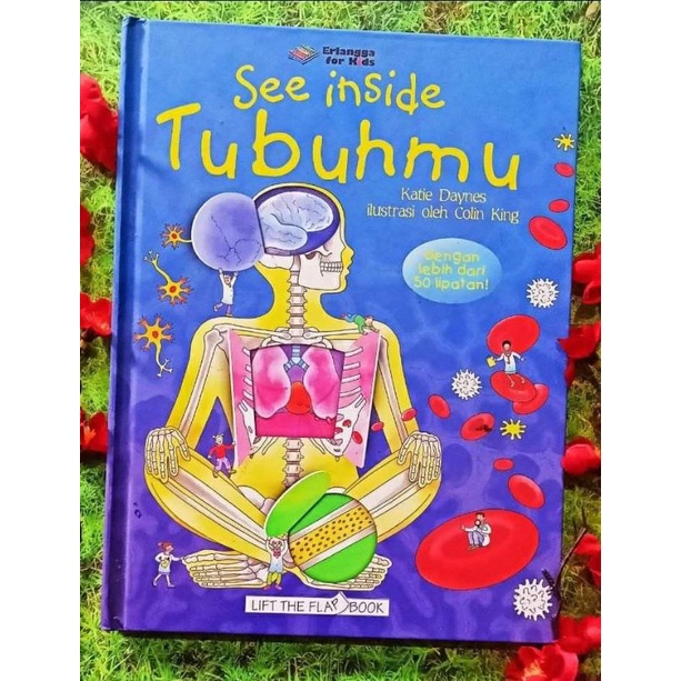 See Inside Tubuhmu Erlangga for Kids Terjemahan See Inside Your Body Usborne ORI