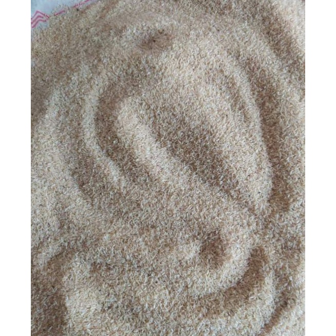 telur jangkrik alam 1 kg