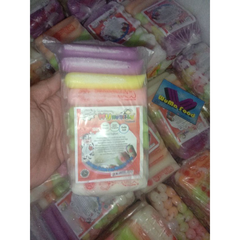 

yogurt my healthy isi 30