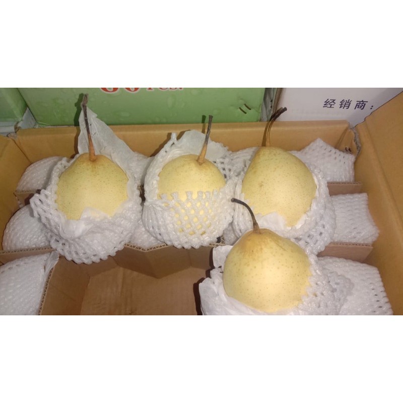 Jual Pear Yalie Pir Yali 500 Gram Indonesiashopee Indonesia 