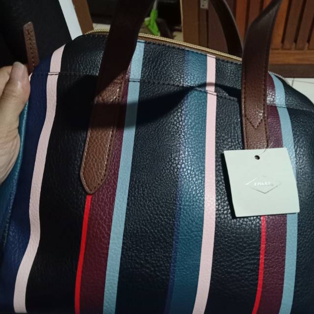 Tas fossil original