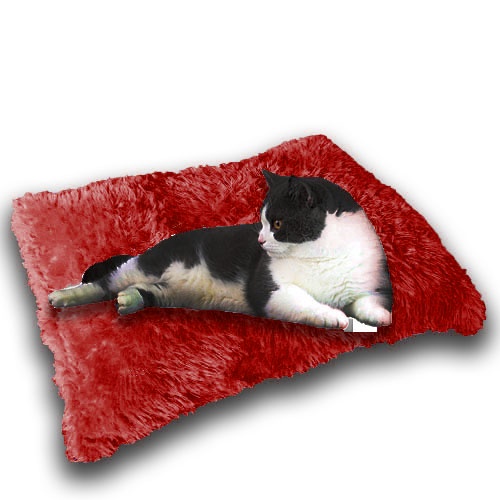 Bantal kucing Murah Lembut/Kasur Kucing/Alas Tidur Kucing Premium/Tempat Kucing Dan Anjing/Ranjang Kucing Dan Anjing/Cat bed/Kasur Kucing Murah/Tempat Tidur Kucing 1 Set/Rumah Kucing/Kandang Kucing/Perlengkapan Kucing Dan hewan-Marun