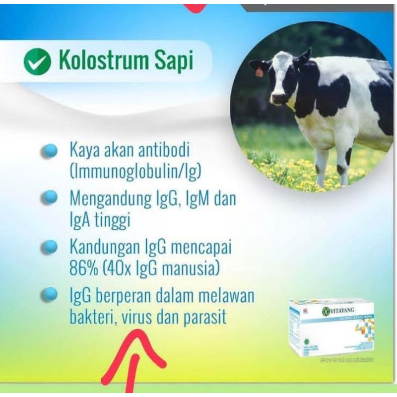 Vitayang Susu Skim Bubuk