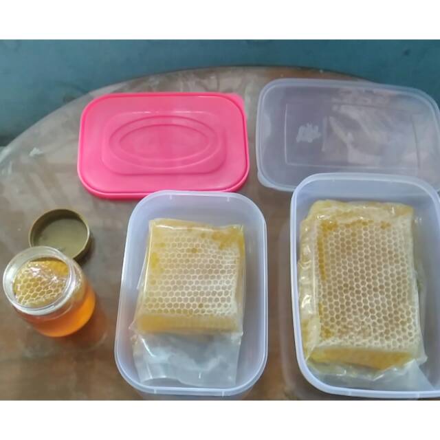 

Madu sarang malifera 500 gr, 250 gr, 200 gr