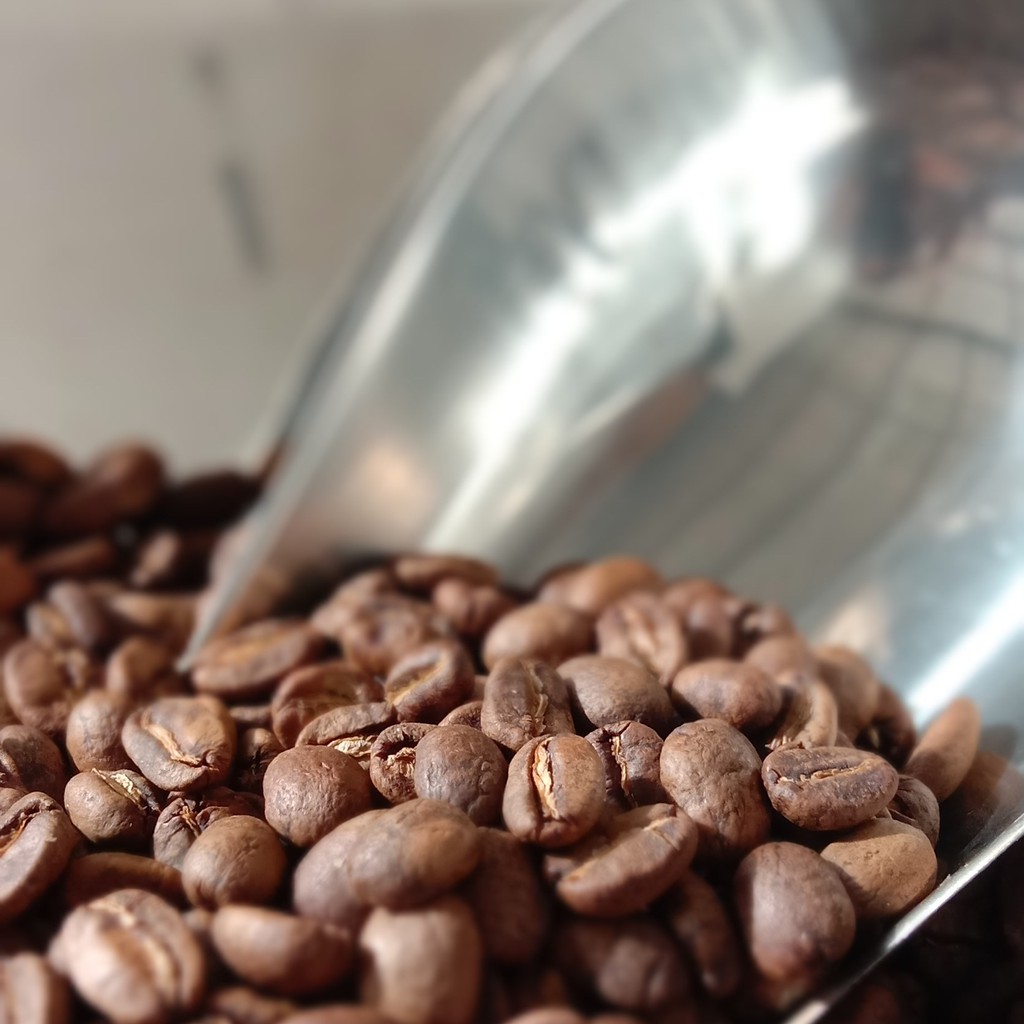 

Arabica Bengkulu Bukit Kaba 1 kg