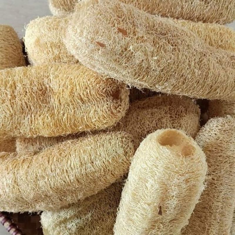 Spon Mandi Emes Loofah Spons Alami Serat Gambar Emes Labu Oyong Kering