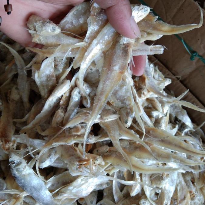 

[COD] Bulu ayam asin super [COD]