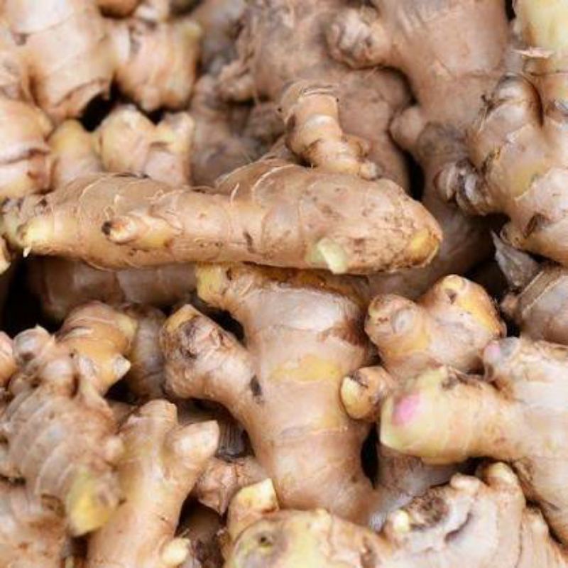 

500 GRAM JAHE EMPRIT KUALITAS UNGGUL FRES