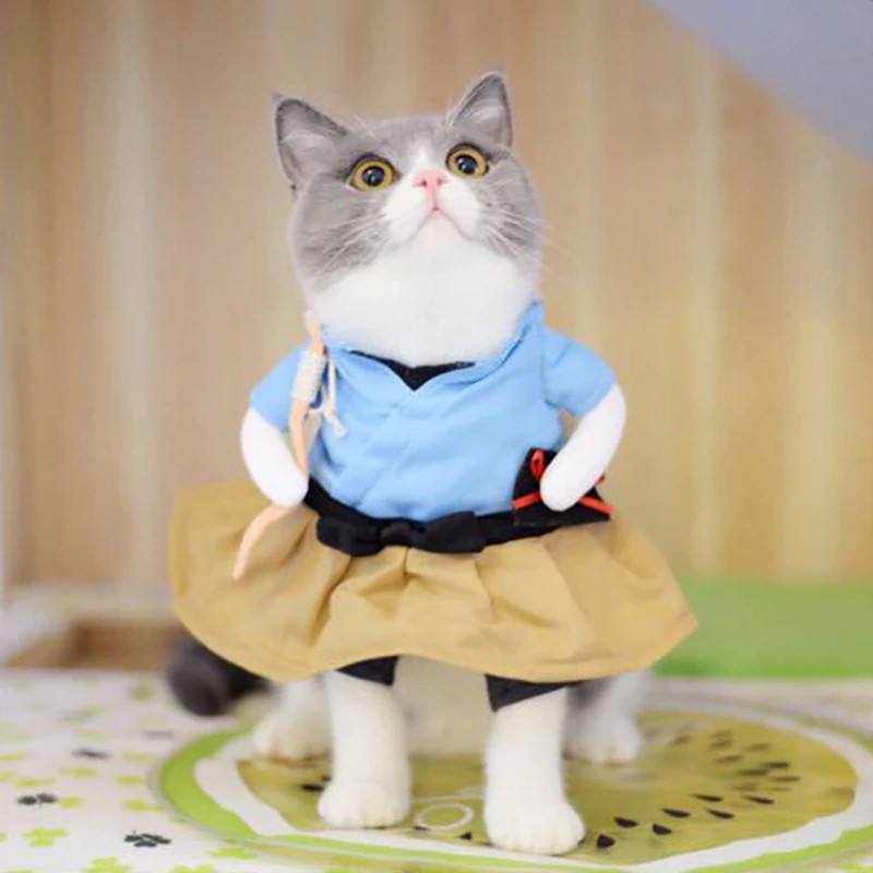 IMPORT Funny Dog Cat Costumes Urashima Taro Cosplay Suit Pet Apparel Halloween Christmas Clothes