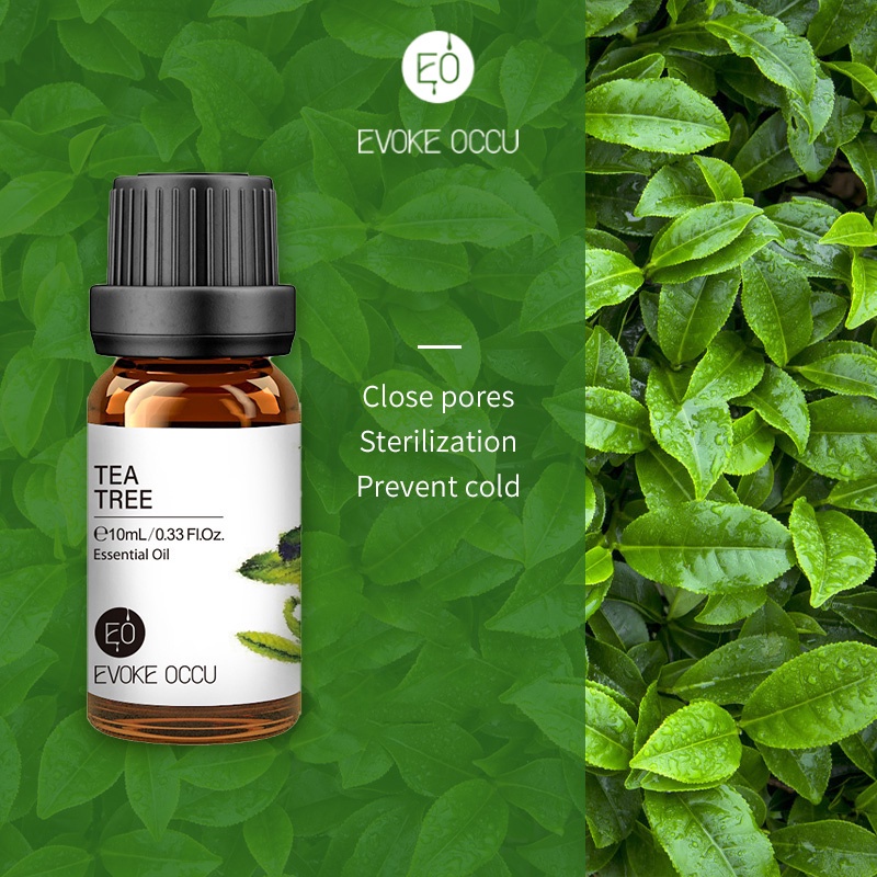 Evoke Occu - Tea Tree 10ml Essential Oil Minyak Aroma Terapi Diffuser Humidifier Natural Relax Fresh Candle Soap Bath Aromatherapy