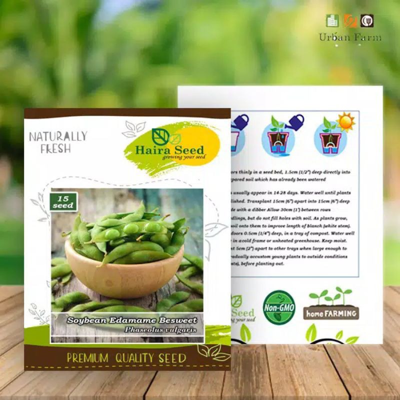 bibit benih  kacang kedelai edamame bibit tanaman kedelai jepang