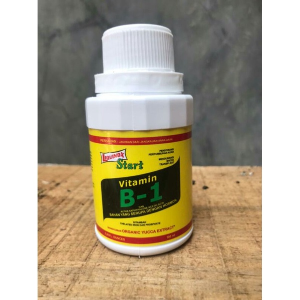 VITAMIN B1 UNTUK BONSAI AGLONEMA KAKTUS PHILODENDRON DAN TANAMAN HIAS