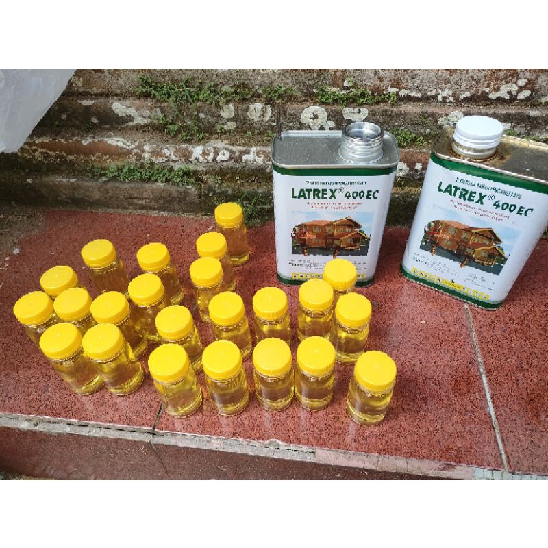 

LATREX kemasan 30 ml