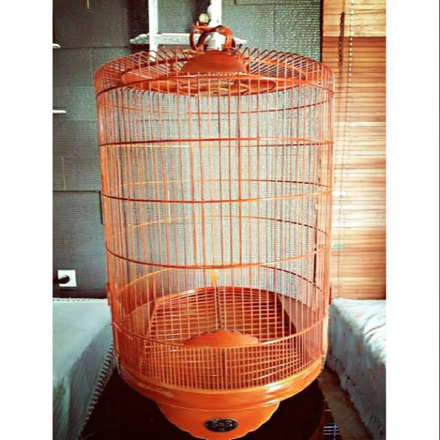 Kandang Murai BNR no.1