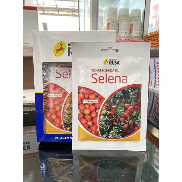 Benih/Bibit Tomat Selena Cap Rusa
