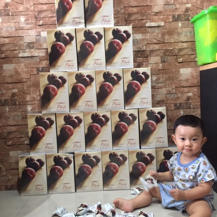 

TRADISIONALMINUMAN- PLUM BUILDER PACKAGE -MINUMAN-TRADISIONAL.