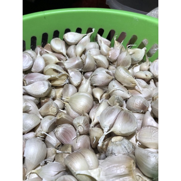 

Bawang Putih Perkilo