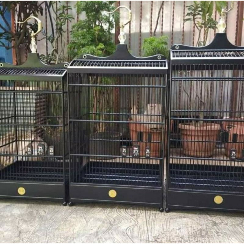 sangkar kotak BnR black japanese seri pertama