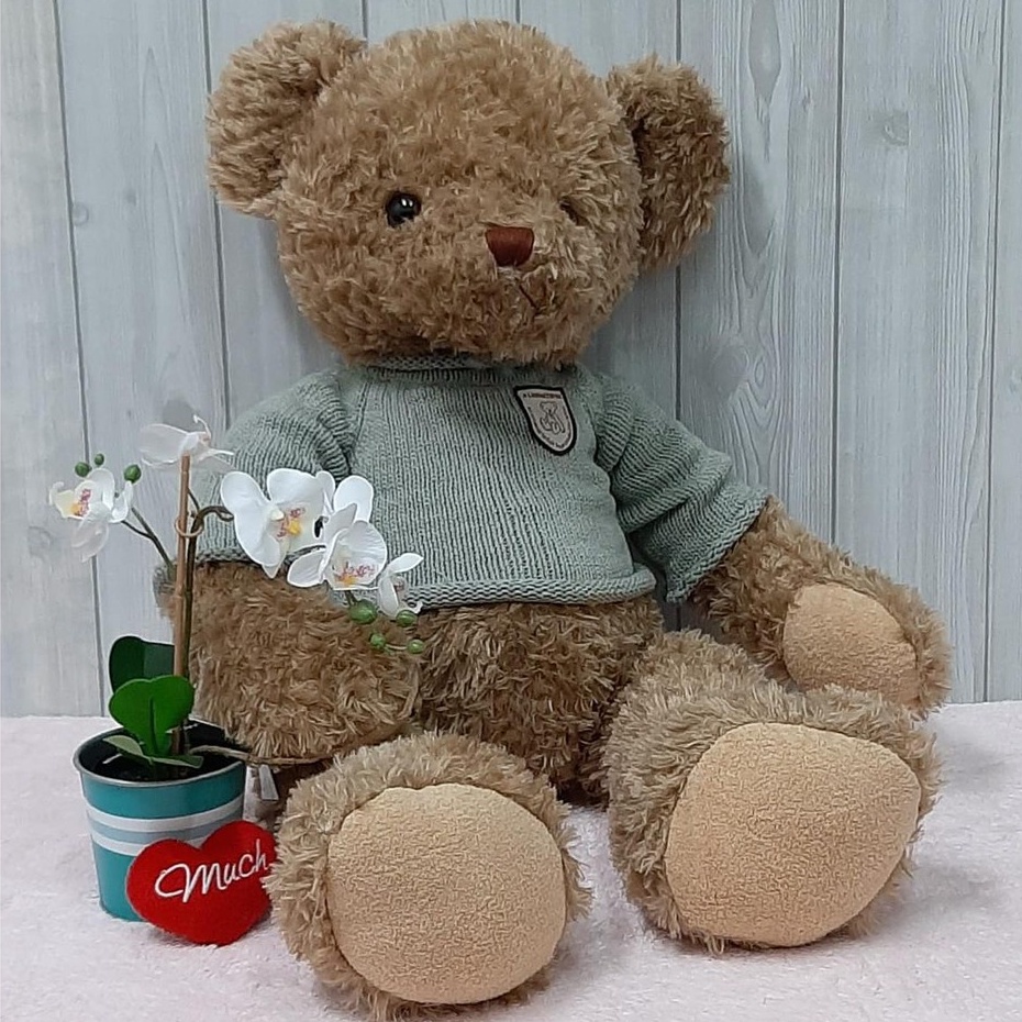 Boneka Shy Bear Sweater 20&quot; - Boneka Teddy Bear Sweater