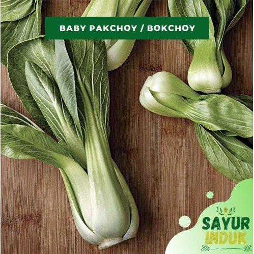 

Sayur Induk - Baby Pakchoy 250 Gram Fresh Grade A Pakcoy Sayur Segar