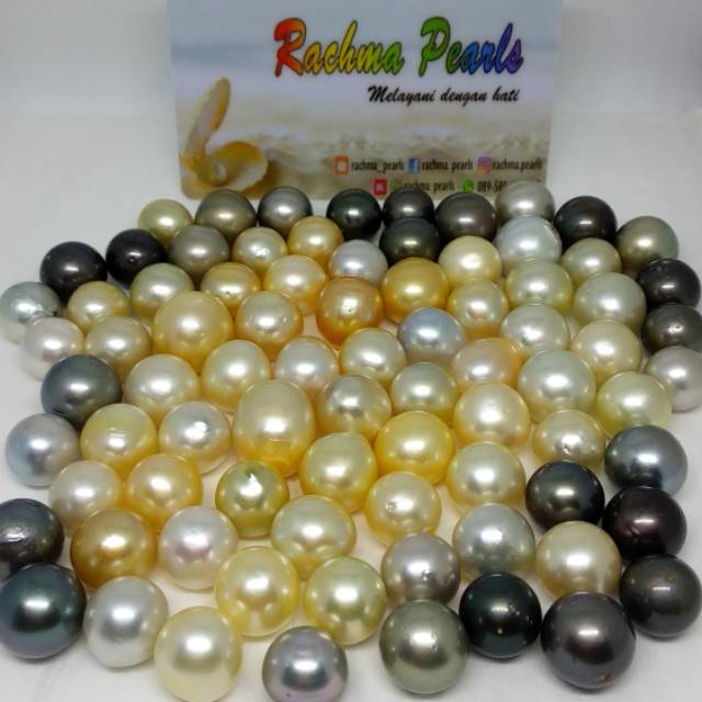 Butiran mutiara air laut asli Lombok big size termurah