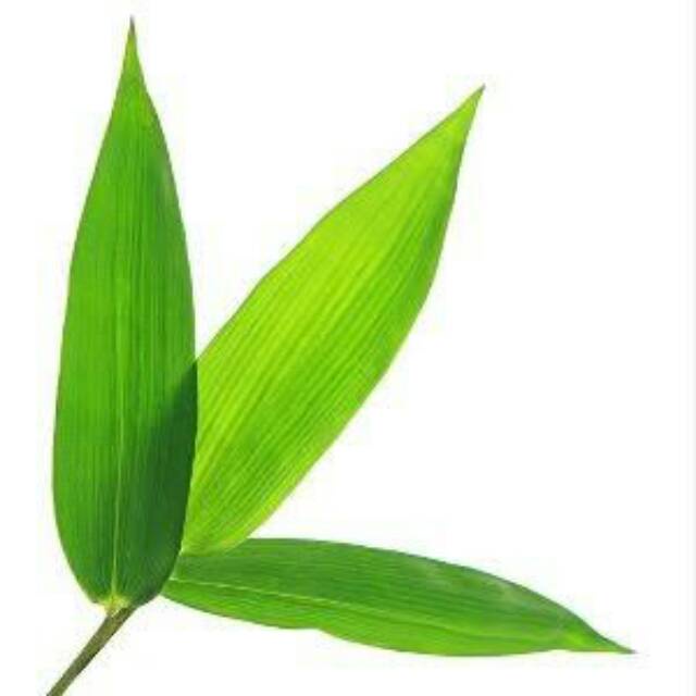 

Daun Bambu Segar Herbal Bungkus Bacang Bakcang
