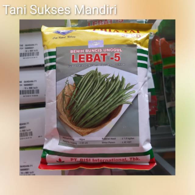 Benih Buncis unggul LEBAT 5 Cap Kapal Terbang
