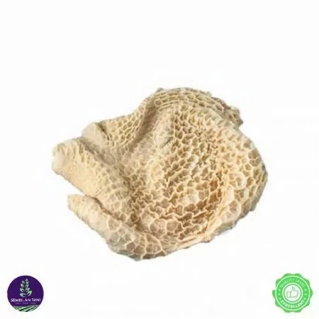 Daging babat sapi segar per 500 gram