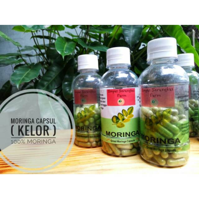 Daun Kelor | Moringa Kapsul