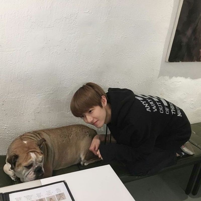 KARFIS NON REGIST ISI 50 [ BISA BUAT TELE ]