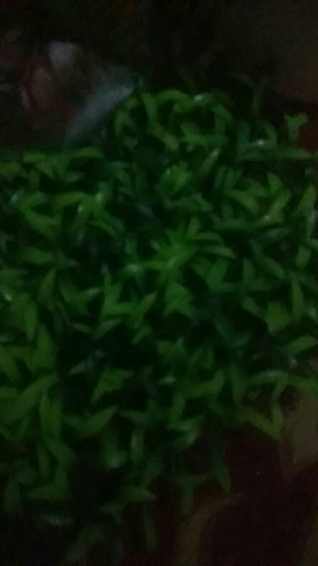 Burner Kompor Rinnai Besar / Kuningan Kompor Rinnai Besar