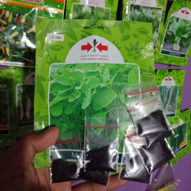 

Bayam ijo
