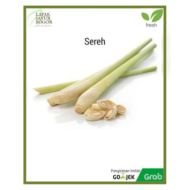 

sereh segar bumbu rempah rempah bogor