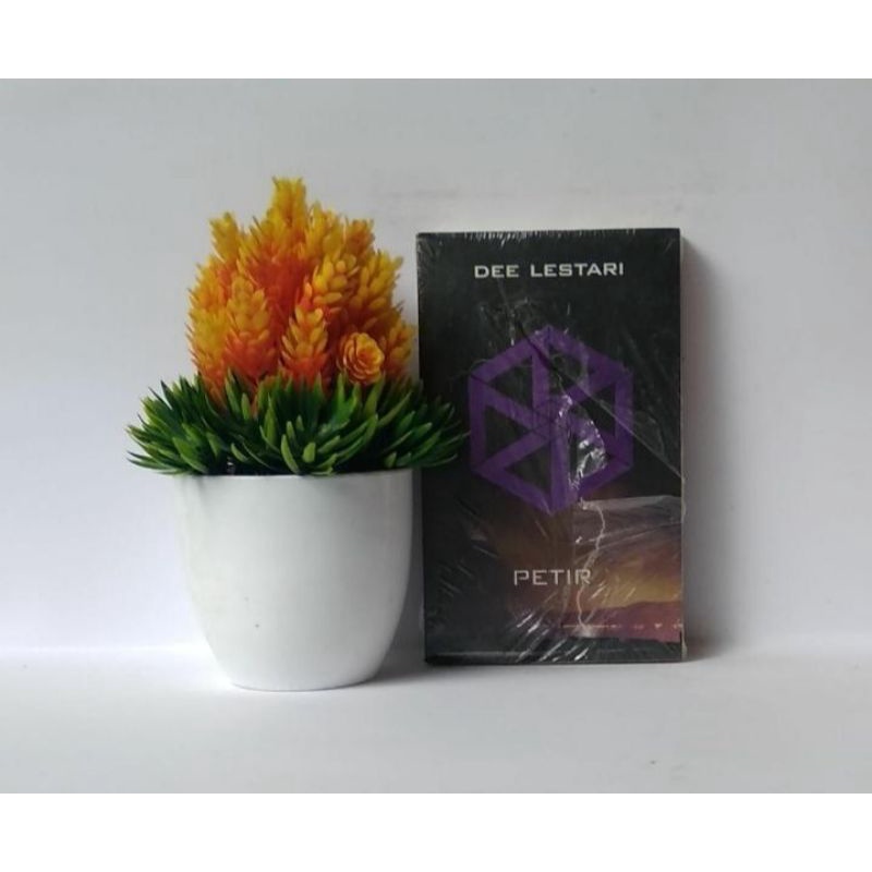 Paket Spesial Dee Lestari