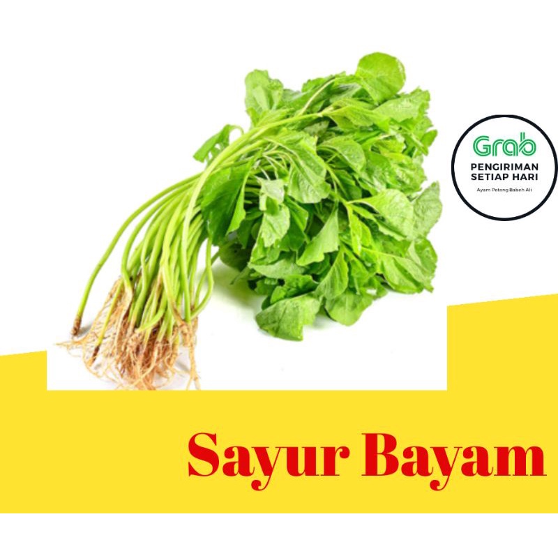 

Sayur Bayam 1 ikat