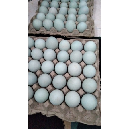 

telur asin mas gunawan