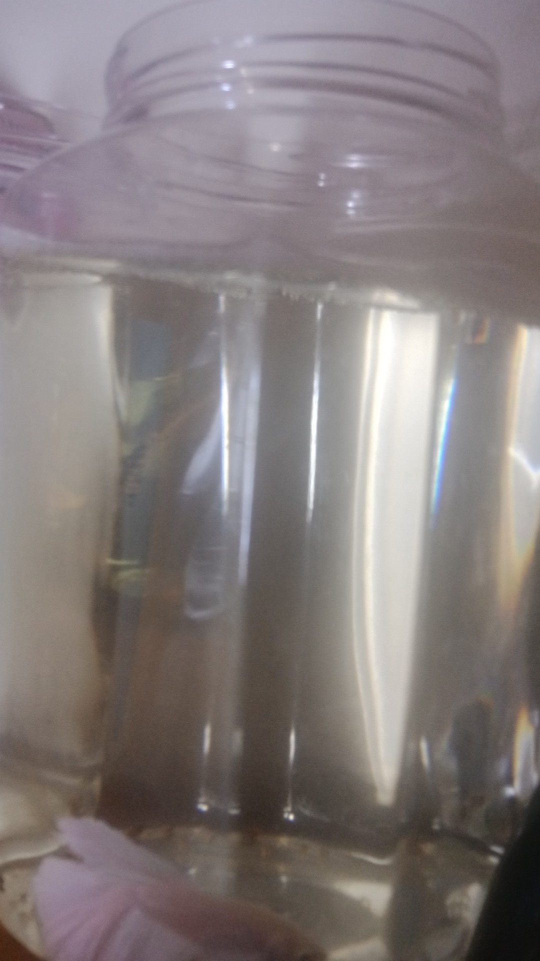 Termurah Toples Kotak Tinggi 2 Liter / Toples Cupang Khusus Gojek/grab