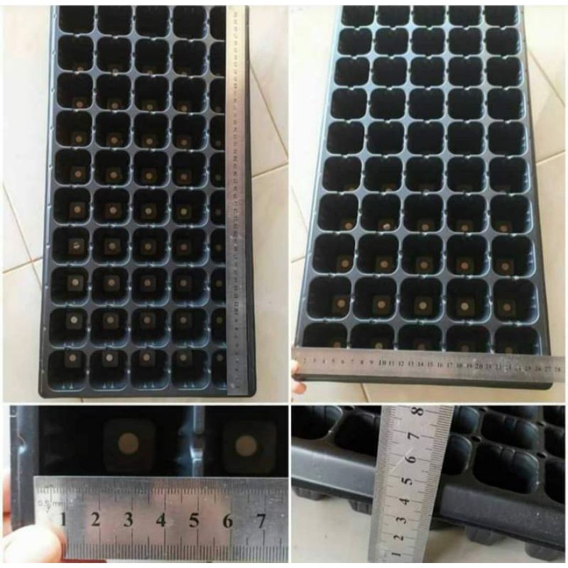 Tray Semai Isi 50 Lubang hole anggrek seedling bibit trey fleksibel pot plastik