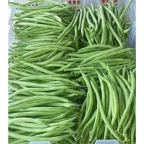 

BUNCIS SEGAR SAYUR PILIHAN MURAH 500GR SIAP KIRIM
