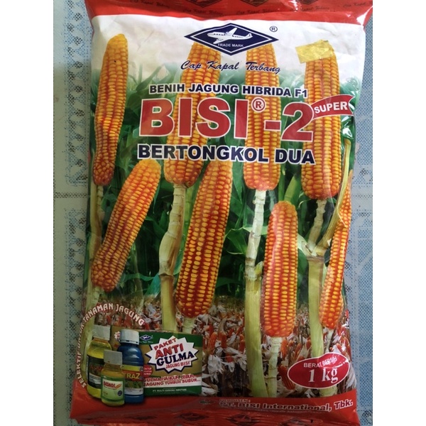 bisi 2 super bertongkol dua