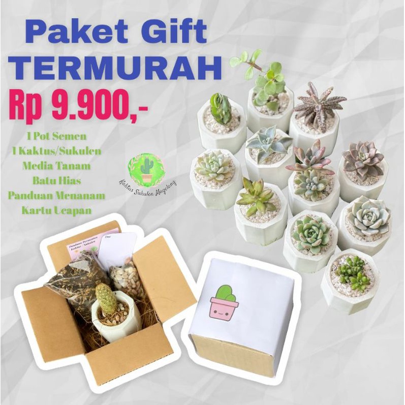 Paket Gift Termurah