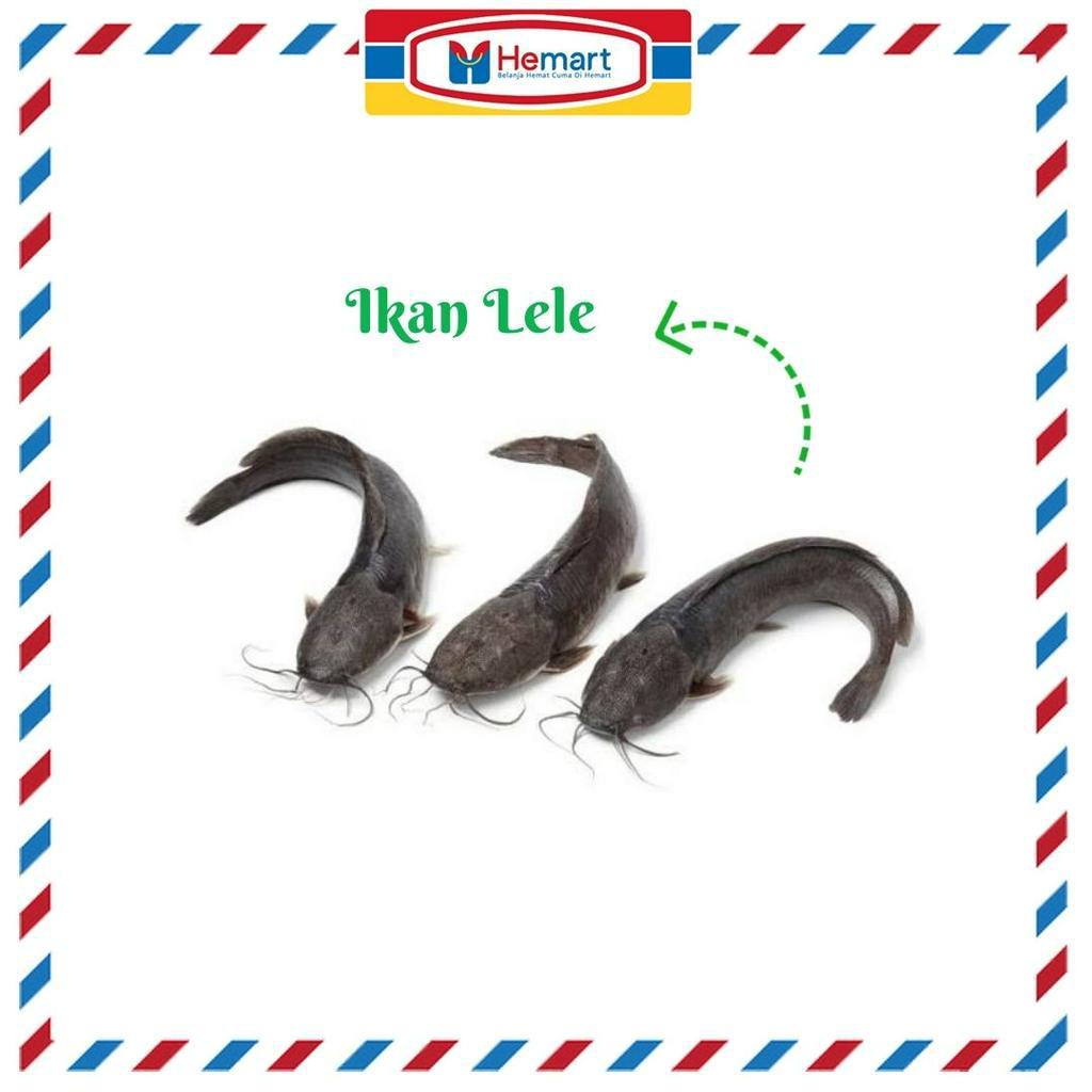 

PALING MURAH !!! IKAN LELE 1KG / IKAN SEGAR