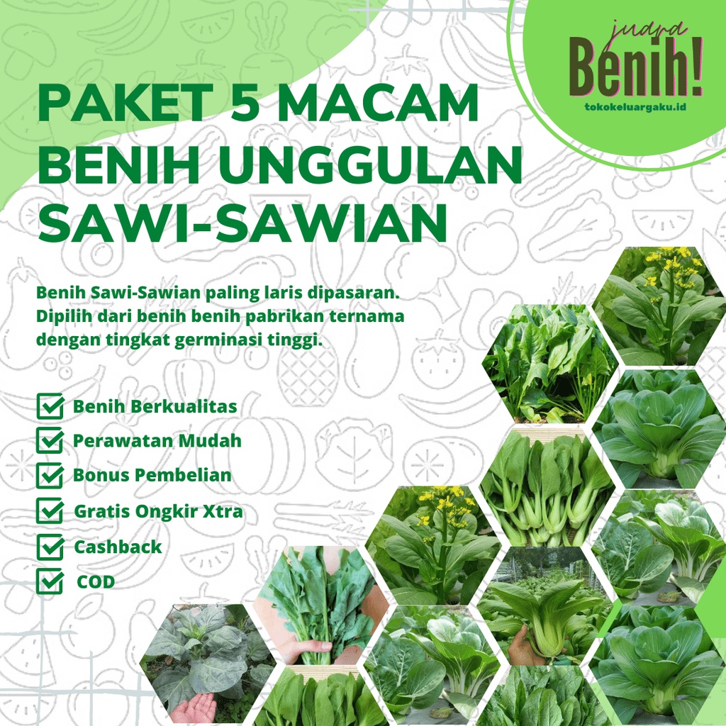 Jual Paket 5 Macam Benih Sawi Sawian Sayuran Unggul Bibit Sayur Sawi