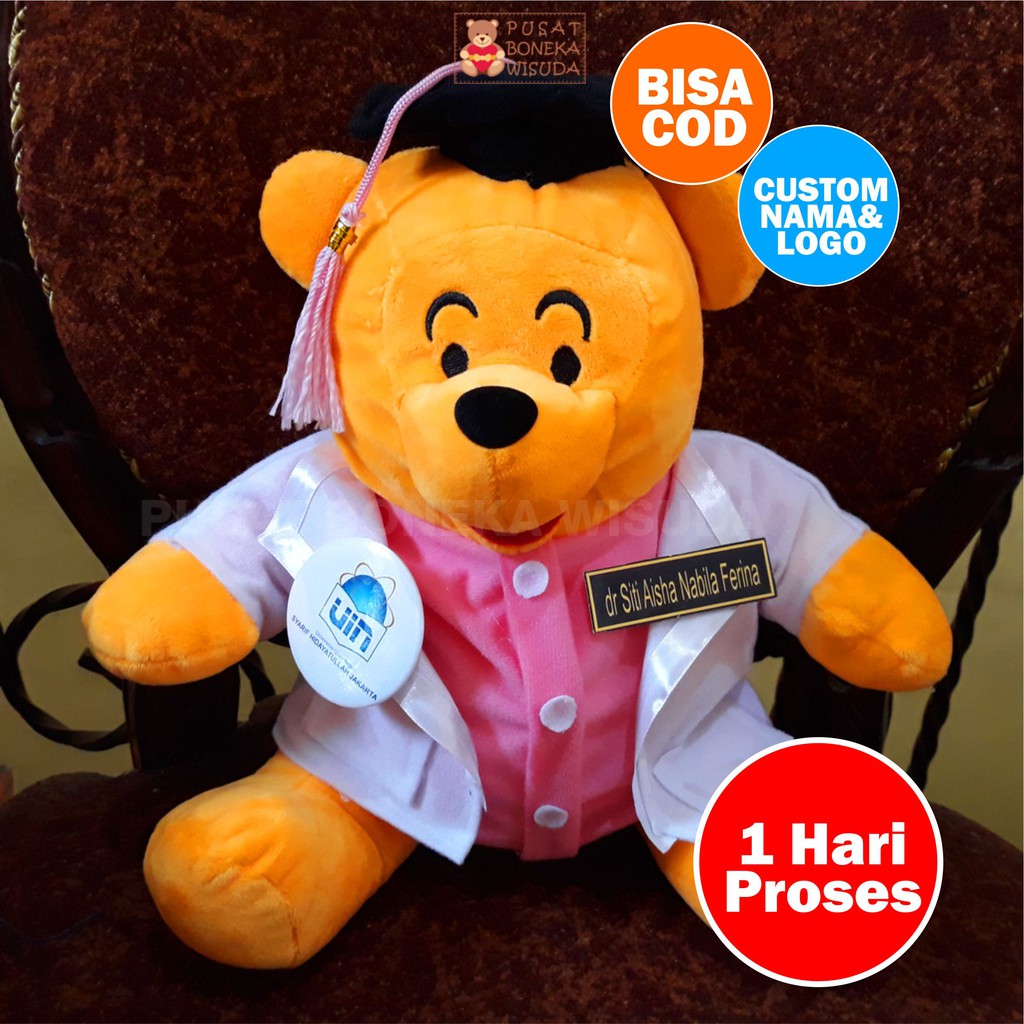 Boneka dokter snelli Winnie the Pooh Pooh wini poh 30cm Boneka Wisuda dokter Profesi Custom Medis