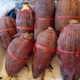 

Jantung Pisang