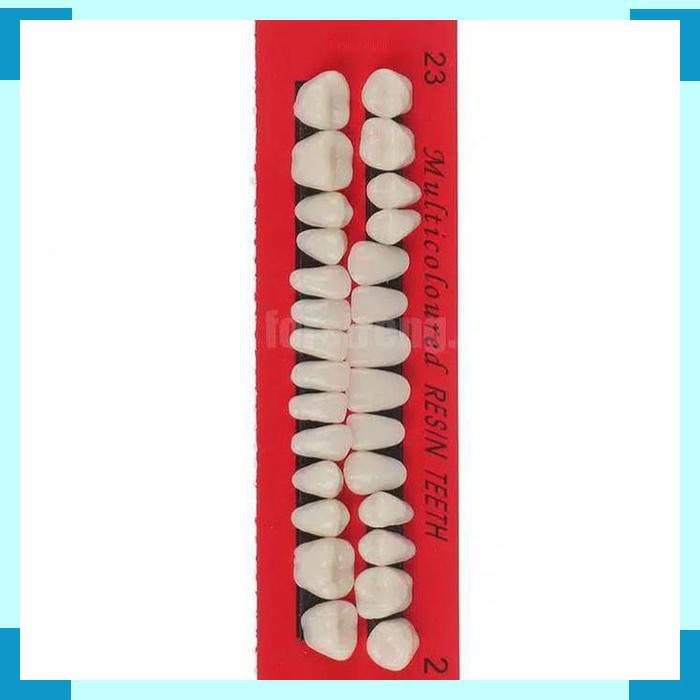 Gigi Palsu Resin untuk Gigi Ompong Gigi Sementara 1 Set 28 Pcs